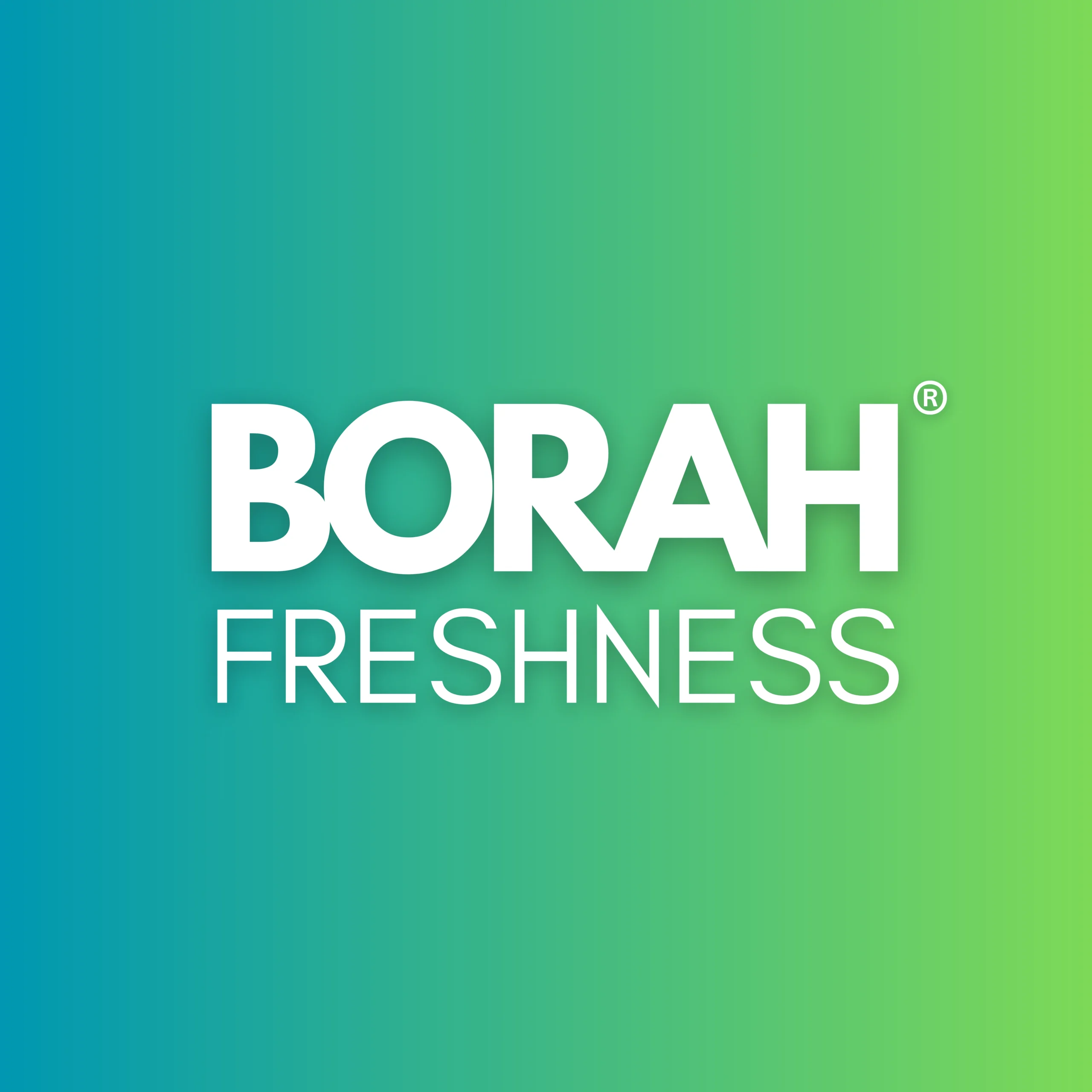 About Us 1 Borah Freshness Logo
